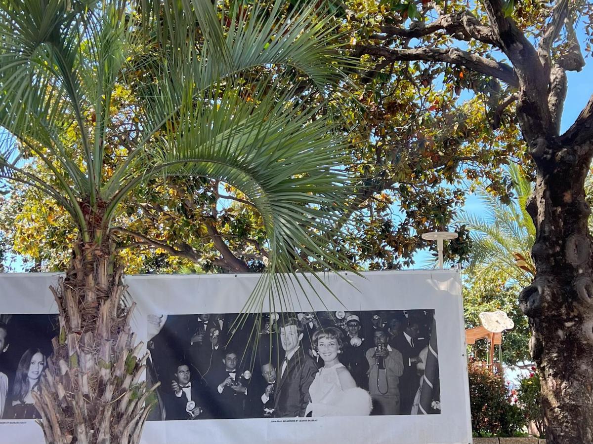 Cannes Centre, 3 Chambres, Plage Et La Croisette A 50M Zewnętrze zdjęcie
